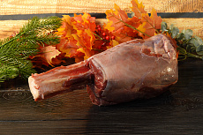 Голяшка лося на кости