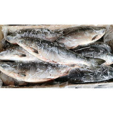 Фото Горбуша свежемороженая непотрошеная (мешок 16кг)