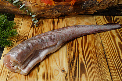 Превью Конгрио свежемороженая 1-1,5кг