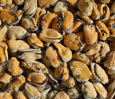 Мидии очищенные варено-мороженые 0,5кг (100/200)