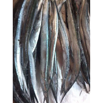 Фото Сарган черноморский свежемороженый (коробка 10кг)