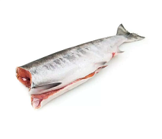 Кета дальневосточная свежемороженая потрошеная без головы Вылов 2025г