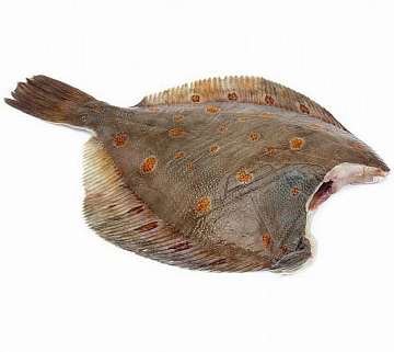 Фото Камбала пятнистая Мурманская потрошеная без головы (коробка 12 кг)