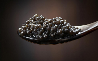 Превью Осетровая икра забойная (стеклянная банка) 50 г