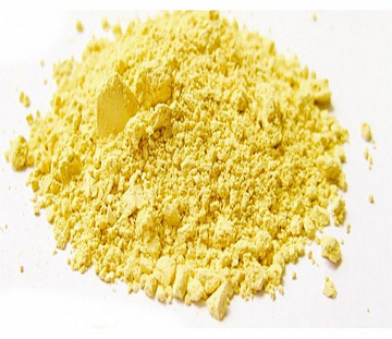 Фото Пыльца сосны