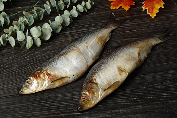 Фото Сельдь тихоокеанская жирная свежемороженая крупная