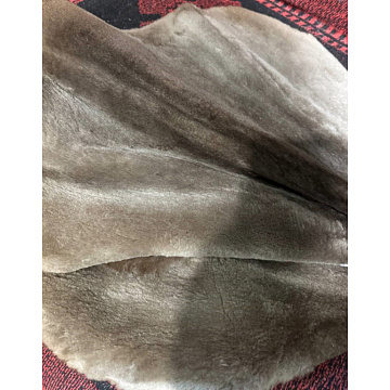 Фото Шкурка бобра выделанная стриженная большая