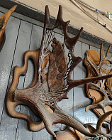 Рог лося с медведем