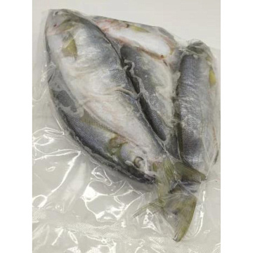 Фото Луфарь черноморский свежемороженый (19-23см)